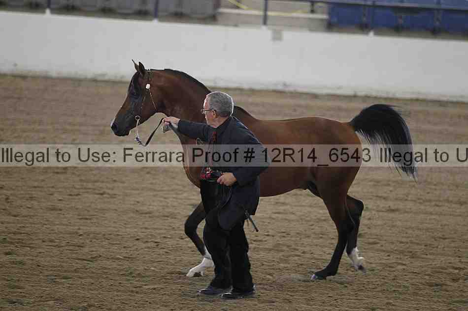 Proof 12r14_6543