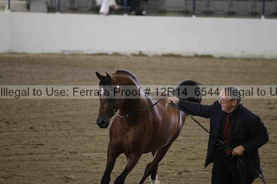 Proof 12r14_6544