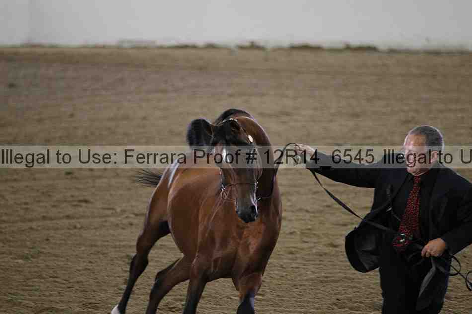 Proof 12r14_6545