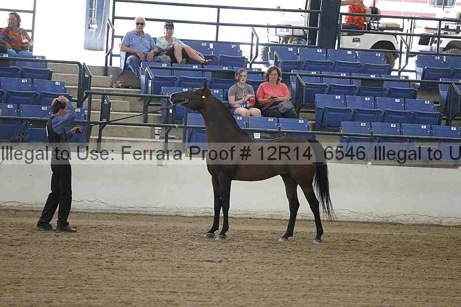 Proof 12r14_6546