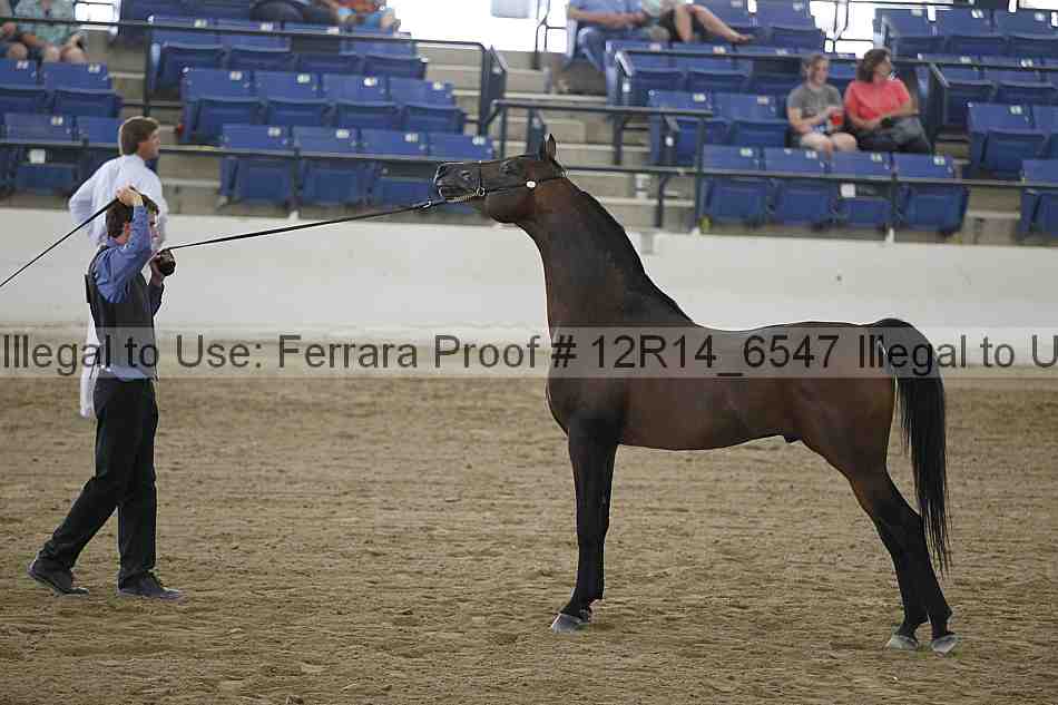 Proof 12r14_6547