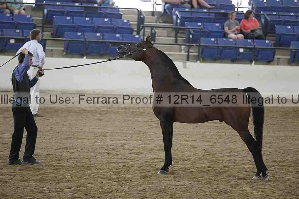 Proof 12r14_6548