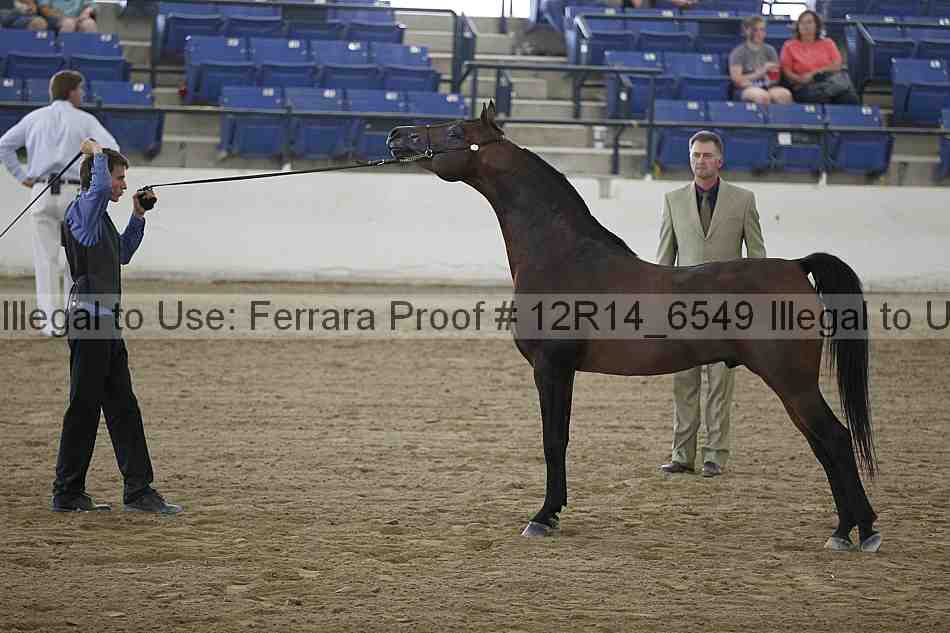 Proof 12r14_6549