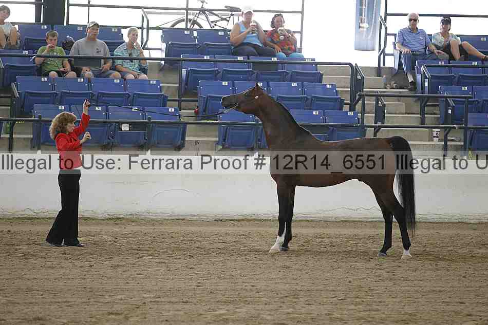 Proof 12r14_6551