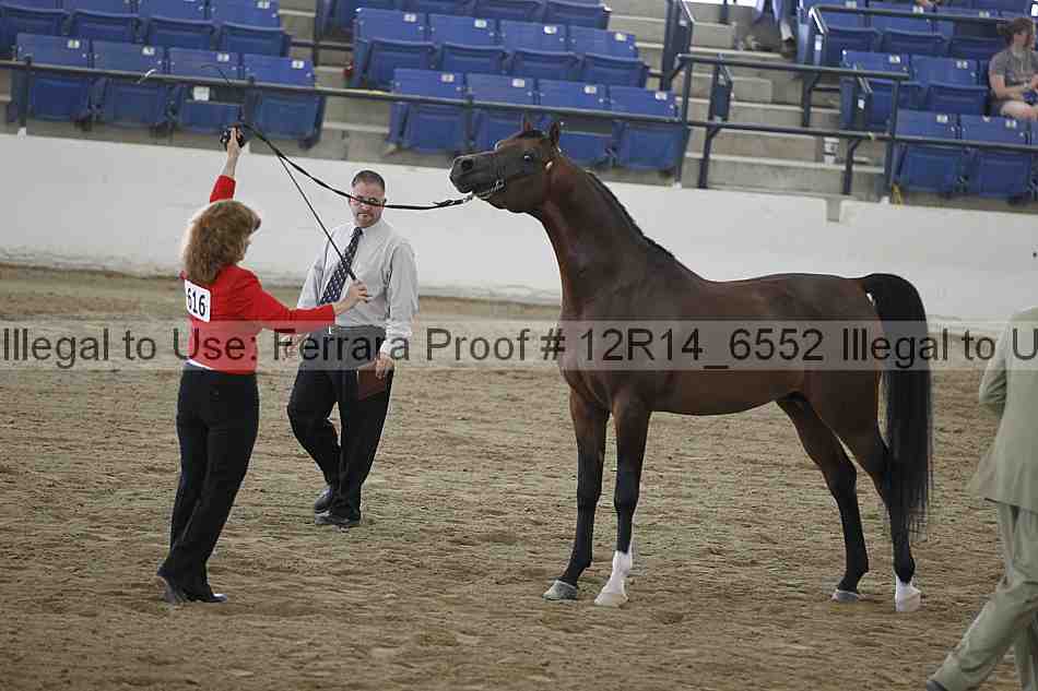 Proof 12r14_6552