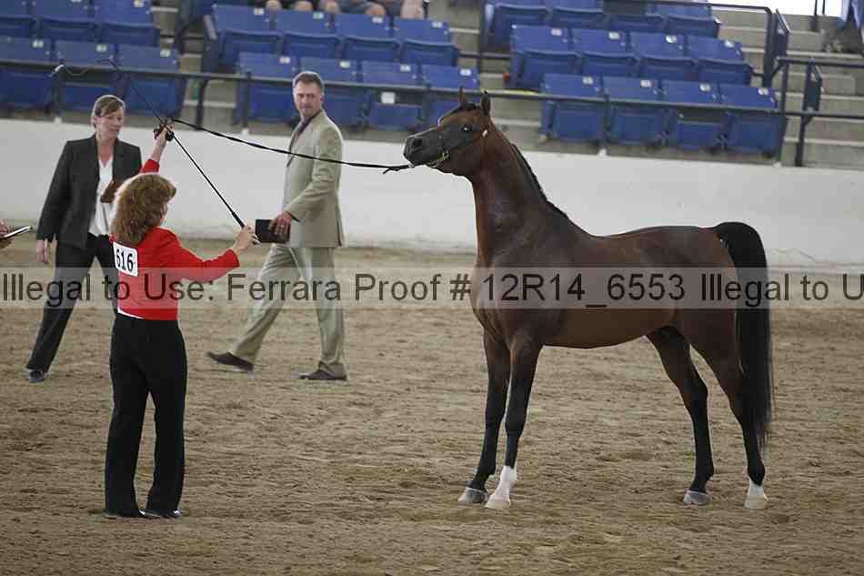 Proof 12r14_6553
