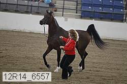 12r14_6557 proof