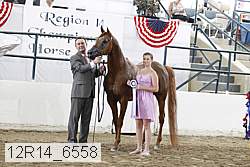 12r14_6558 proof