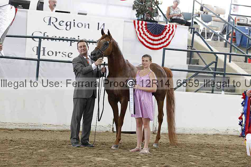 Proof 12r14_6559