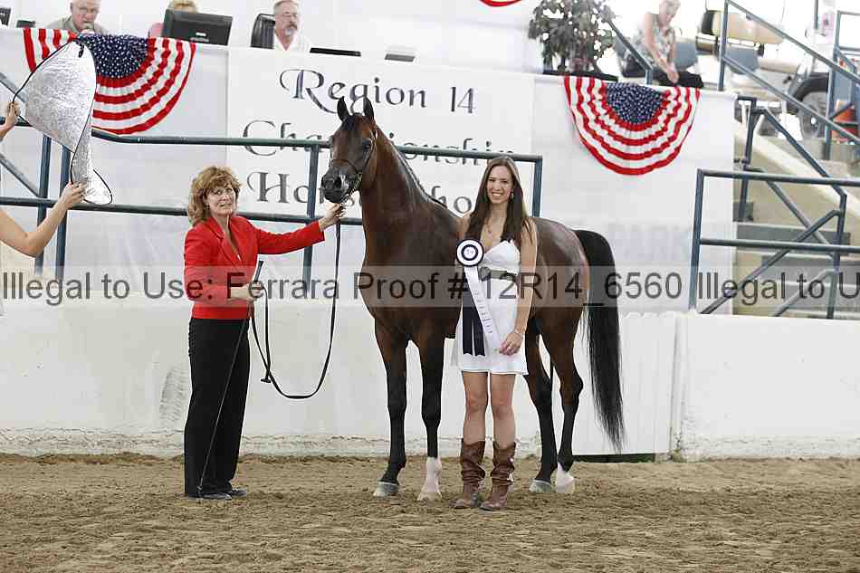 Proof 12r14_6560