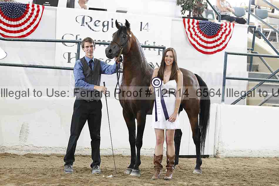 Proof 12r14_6564