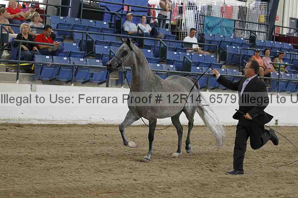 Proof 12r14_6579