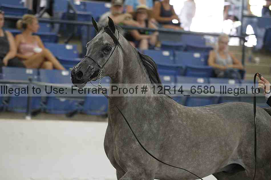 Proof 12r14_6580