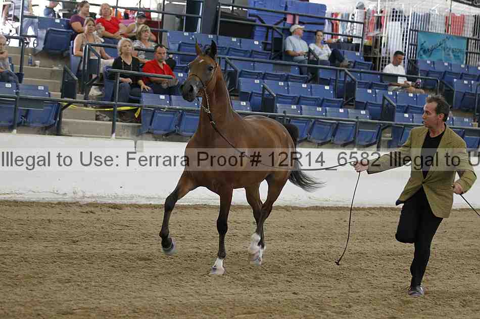 Proof 12r14_6582