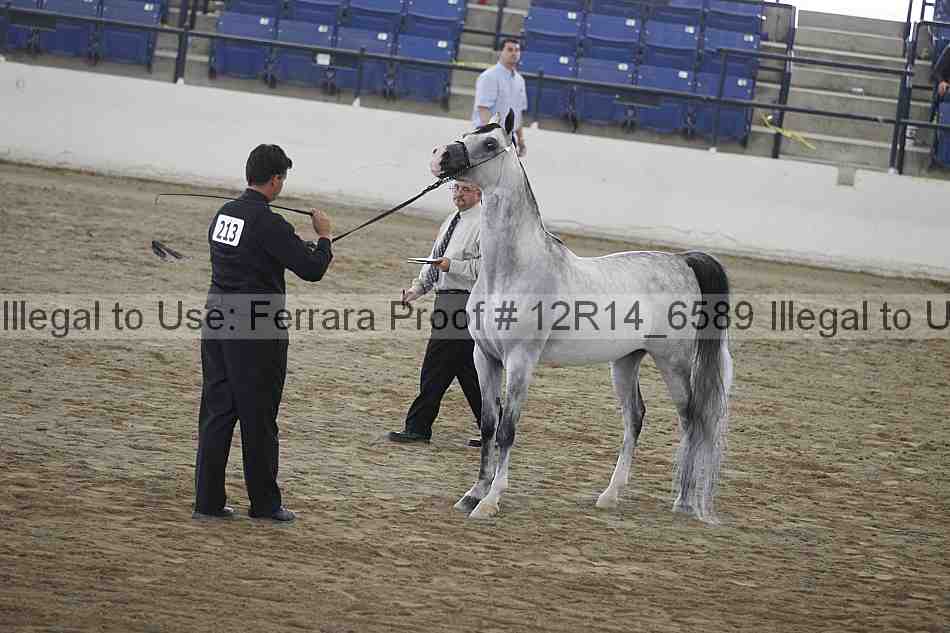 Proof 12r14_6589
