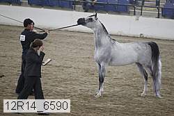 12r14_6590 proof