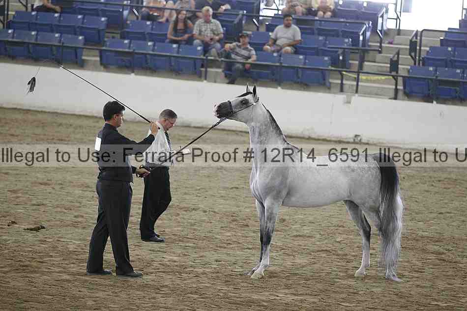 Proof 12r14_6591