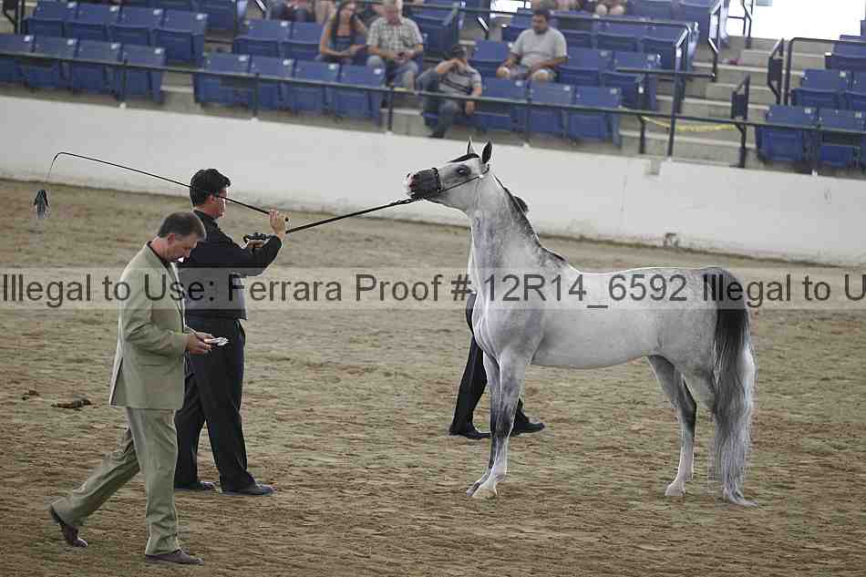 Proof 12r14_6592