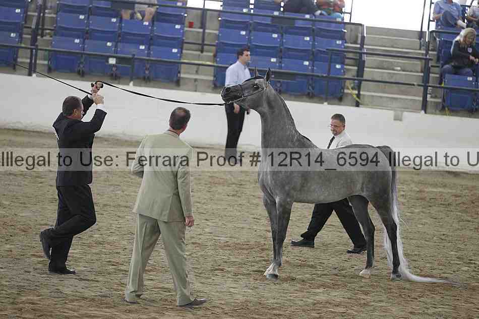 Proof 12r14_6594