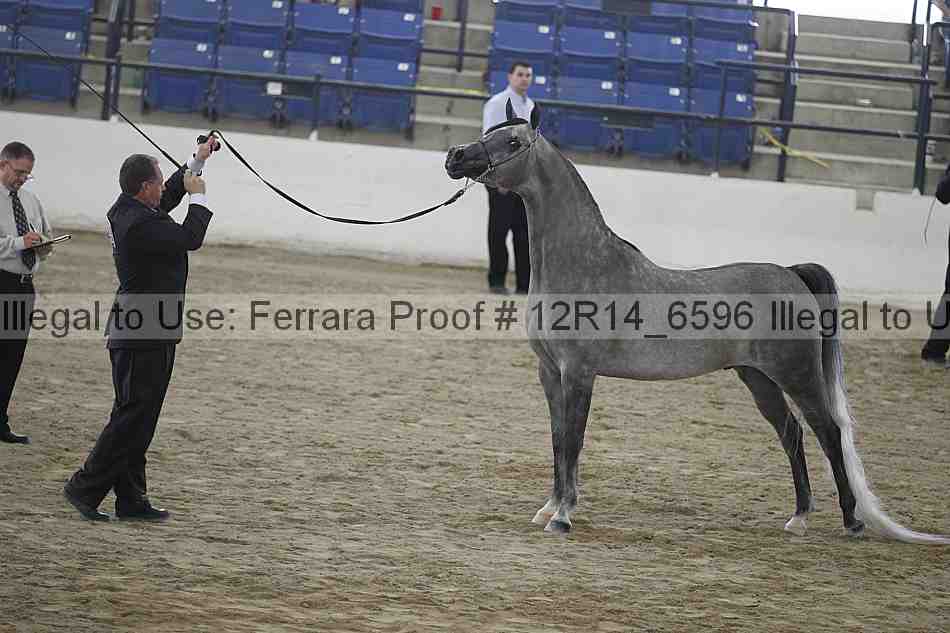 Proof 12r14_6596