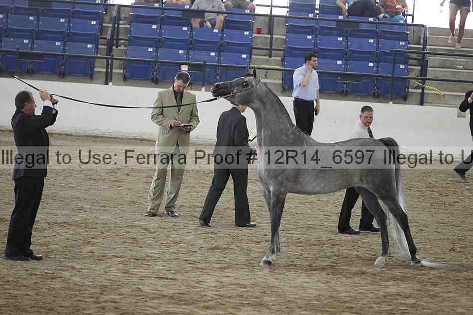 Proof 12r14_6597