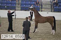 12r14_6599 proof
