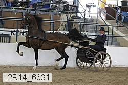 12r14_6631 proof