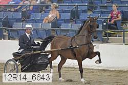 12r14_6643 proof