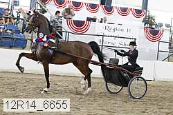 12r14_6655 proof