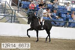 12r14_6673 proof