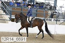 12r14_6691 proof