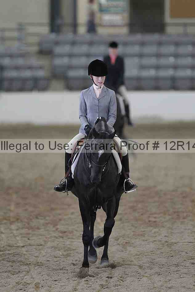 Proof 12r14_6694