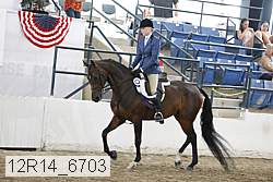 12r14_6703 proof