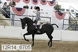 12r14_6705 proof
