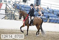 12r14_6708 proof