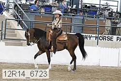 12r14_6723 proof