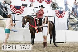 12r14_6733 proof