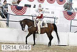 12r14_6745 proof