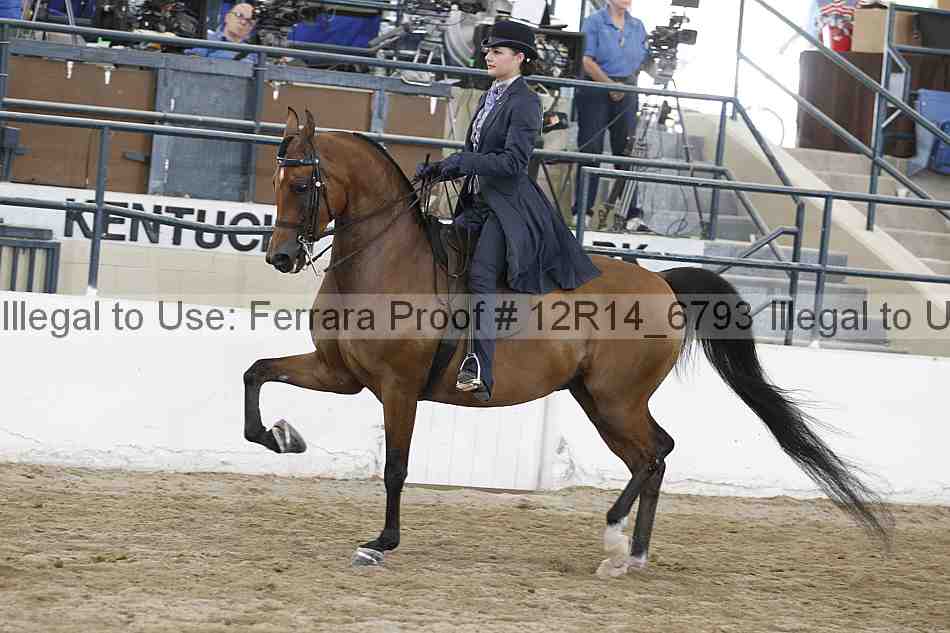 Proof 12r14_6793