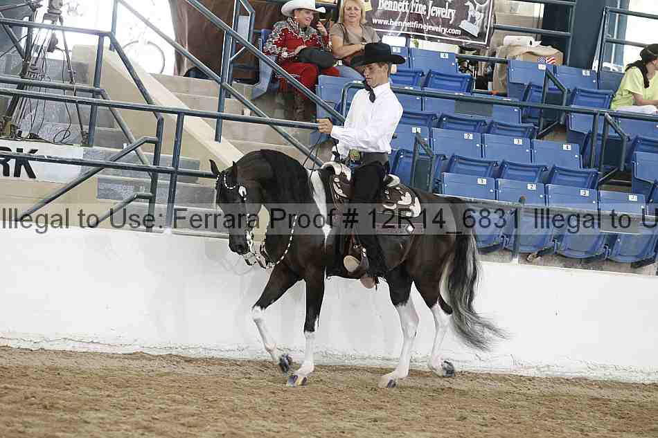Proof 12r14_6831