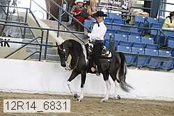 12r14_6831 proof