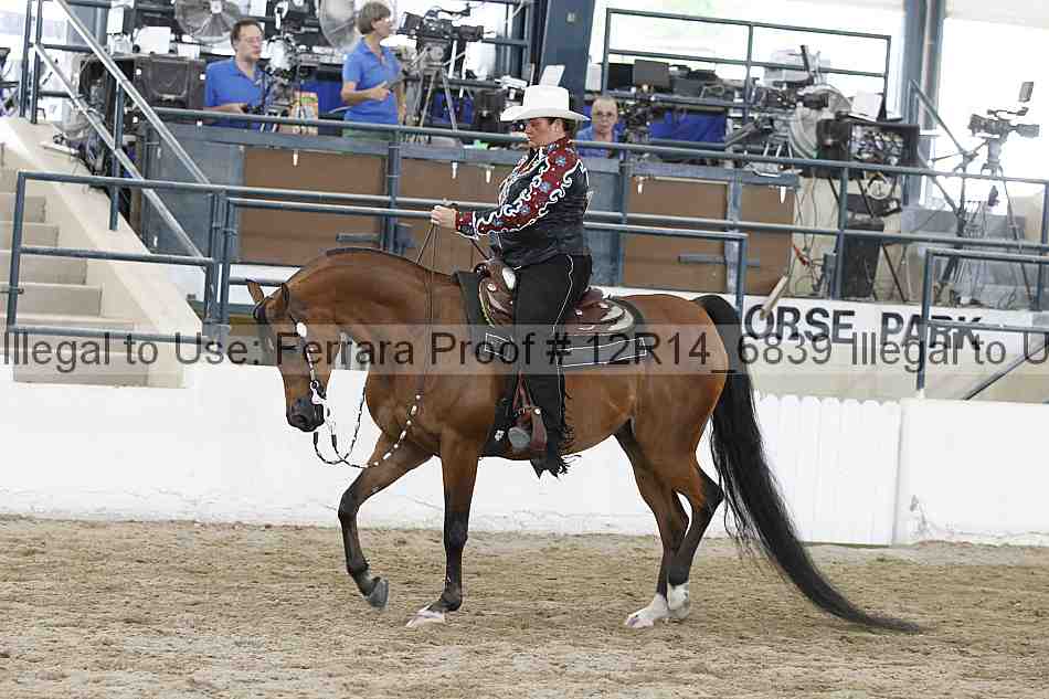 Proof 12r14_6839