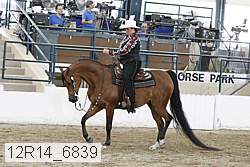 12r14_6839 proof