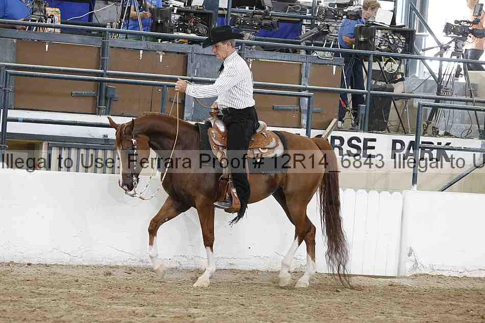 Proof 12r14_6843