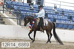 12r14_6869 proof