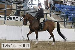 12r14_6901 proof