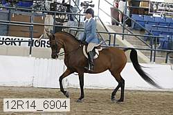 12r14_6904 proof