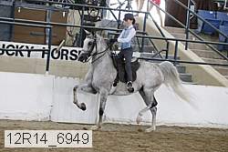 12r14_6949 proof