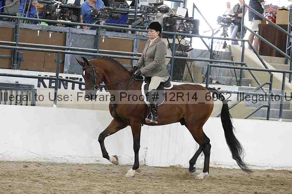 Proof 12r14_6962