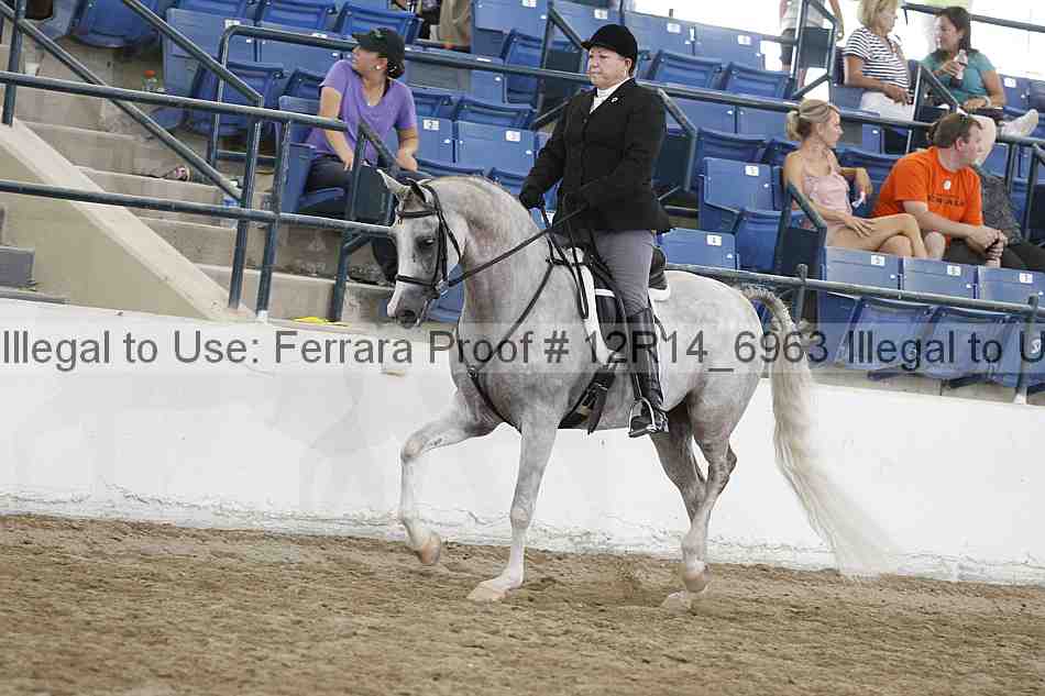 Proof 12r14_6963